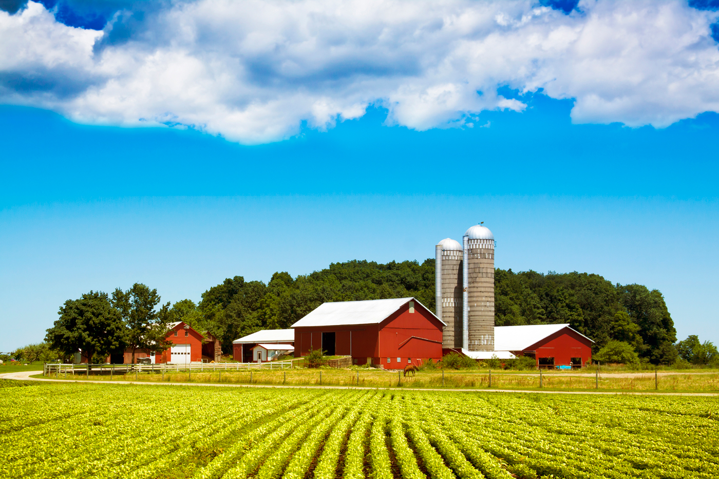 U.S.-Farm